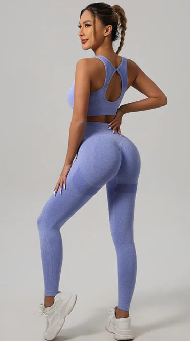 Nylon Backless Yoga Set