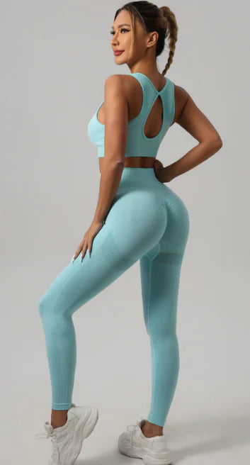 Nylon Backless Yoga Set